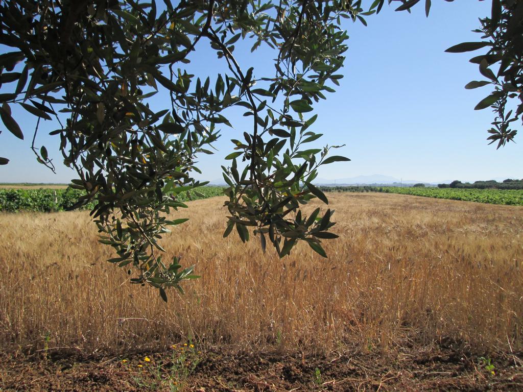 A Giummara Konuk evi Marsala Dış mekan fotoğraf